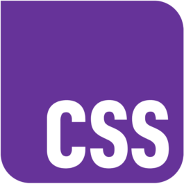 CSS Logo